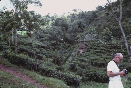 Miscellaneous, 1963 [Man at tea plantation in India]