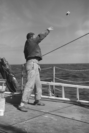 [Man on deck of R/V Spencer F. Baird throwing a TNT charge for seismic profiling]