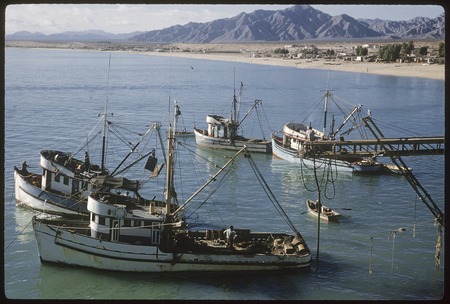 Fishing boats at San Felipe