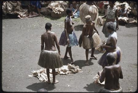 Mortuary ceremony: women exchange banana leaf bundles and long fiber skirts, one woman wears shell necklace with white cow...