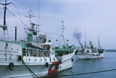 Japanese fishery vessels anchored beside Argo in Hakodate, Hokkaido, Japan