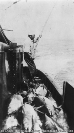 Japanese fisherman fishing from side of Enterprise, catch of tuna on deck