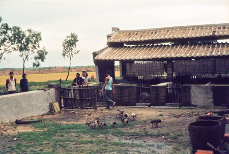 Commune Pig Sty in Rural China