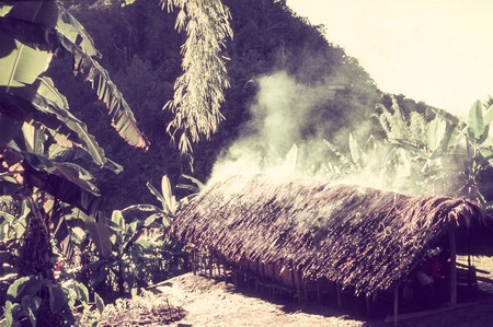 Men&#39;s house, smoke from hearths escapes through the thatch, banana, taro and other garden plants nearby