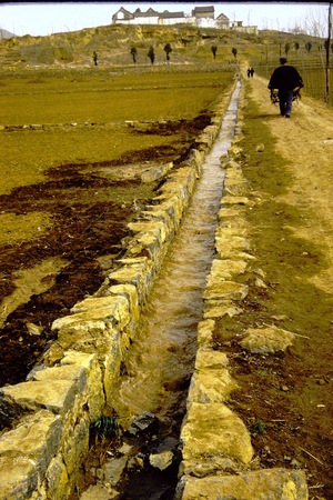 Irrigation canal carrying water from Red Flag Canal into village (4 of 4)