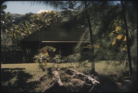 House with corrugated metal roof, Punaauia, Tahiti
