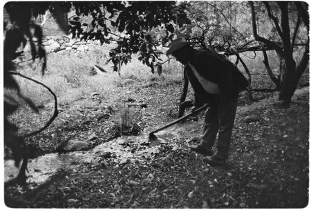 Loreto Arce cleans dirt and leaves from his open irrigation system at Rancho San Gregorio