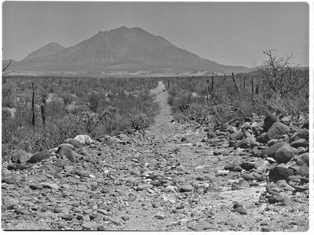 Old wagon road to Santa Rosalía near Rancho La Esperanza with Las Tres Vírgines in background