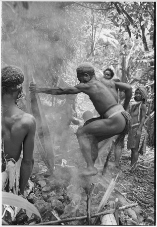 Pig festival, uprooting cordyline ritual, Tsembaga: man leaps on heated stones. he will pierce red pandanus fruits with ca...
