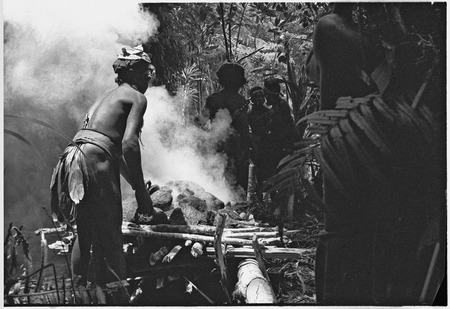 Pig festival, uprooting cordyline ritual, Tsembaga: in ancestral shrine, men heat stones for pandanus fruit dedication