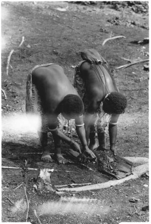 Two women scraping debris from the clearing into a bark &quot;dustpan&quot;