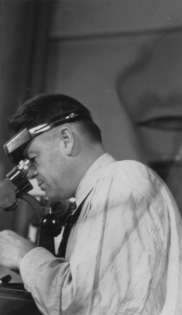 Carl L. Hubbs at the microscope, Scripps Institution of Oceanography