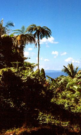 View of Pentecost Island