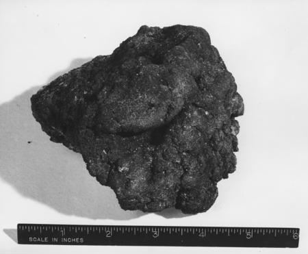 Manganese nodule collected by Roger Revelle on MidPac Expedition