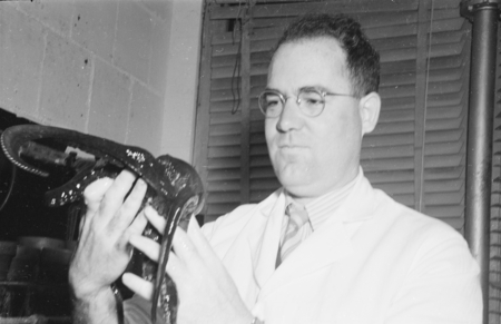 Scripps Circa 1947. Bayard McConnaughhey with octopus