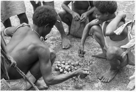 Boys dividing betel (areca) nuts at Foutoru.