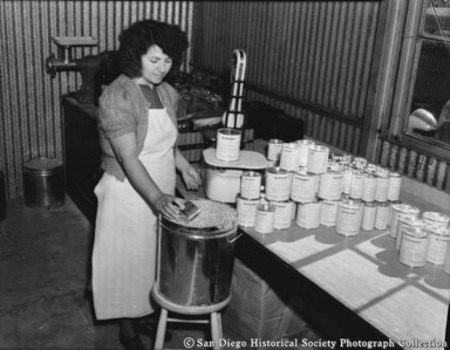 Woman at work in kelp processing plant