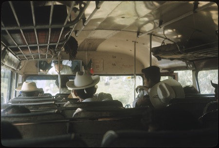 Aboard a second class bus between Tepic and Compostela