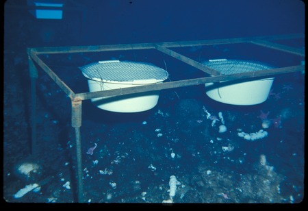 Exclusion buckets used in John Oliver&#39;s experiment during Paul Dayton&#39;s study of the McMurdo Station benthic community. An...