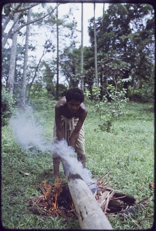 Canoe-building: man holds log over a fire, to harden the wood and smoke out termites, preparing it to be used as an outrig...