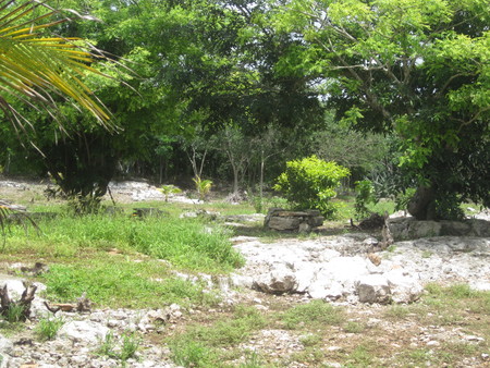 Milpa to right of road from Muxupip to Euán 04