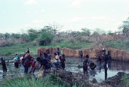 Women and children collecting fish in shallow area of the Choma River, at Kaputa village