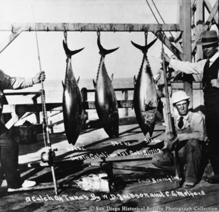 A catch of tunas by W.D. Jackson and C.G. Melgard