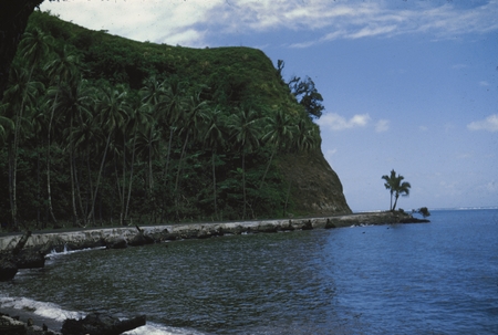 [Beach in Tahiti]