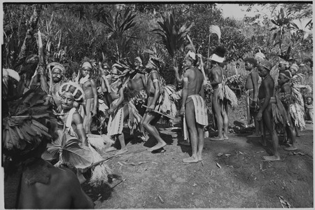 Pig festival, stake-planting, Tuguma: Tsembaga men with ritual items to expel enemy spirits and establish boundary