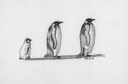 Emperor penguin illustration