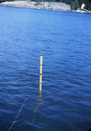 Vertical velocity meter in still water off U. Of W. [Friday Harbor] Lab Dock VIII-4-50 0900 PST