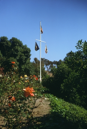 Roses and flag pole at the Scripps Institution of Oceanography
