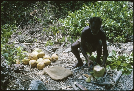Man with coconuts.