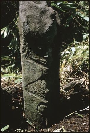 Stone carved petroglyph