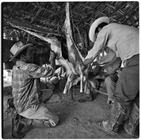Butchering a goat at Rancho Santo Domingo