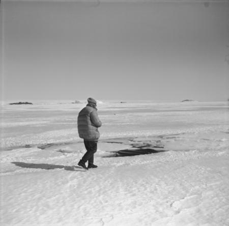 Scientist Mikhail Vladimirovich Propp and a minke whale in a sea ice crack