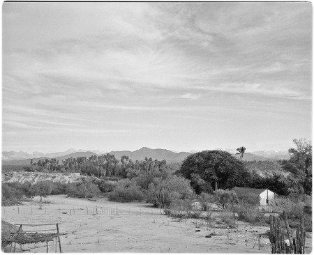 Rancho El Palmarito near Todos Santos