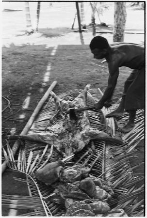Ambaiat: Dagabun uses steel axe to butcher pig killed for damaging garden