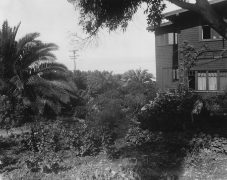 [Director&#39;s House and Garden, Scripps Institution of Oceanography]