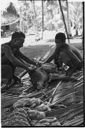Ambaiat: Dagabun and Granjumba butcher a pig killed for damaging a garden