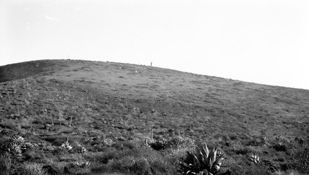 Dry bog, beyond is a mescal mesa, facing south