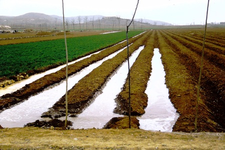 Irrigation canals in the field