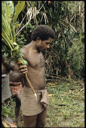 Maenaa&#39;adi of Furisi&#39;ina with cordyline and other plants for ritual.