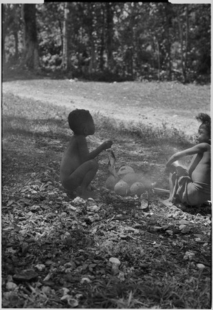 Young boys sit by small fire on which they heat some coconuts, child at left holds string of small fish