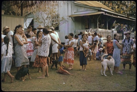 Crowd of people and dogs, Moorea