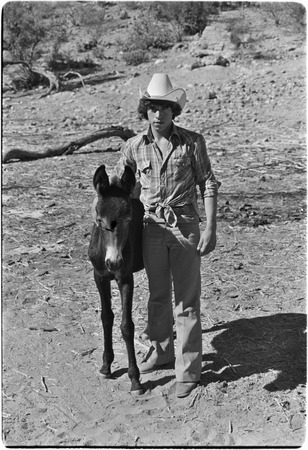 Man with young mule at Rancho San Martín