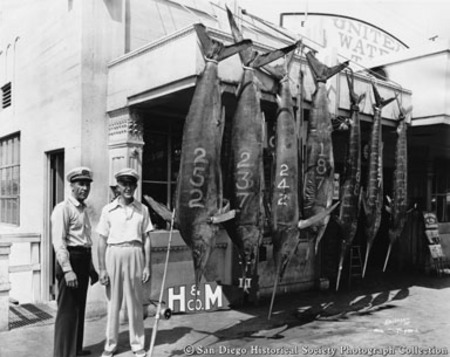 Two men posing with catch of swordfish at H &amp; M Sport Fishing Company