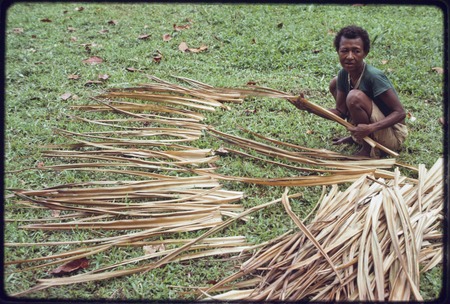 Weaving: woman spreads pandanus leaves to dry, preparing them to be used in basket- or mat-making