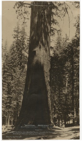 General Sherman tree, Sequoia National Park