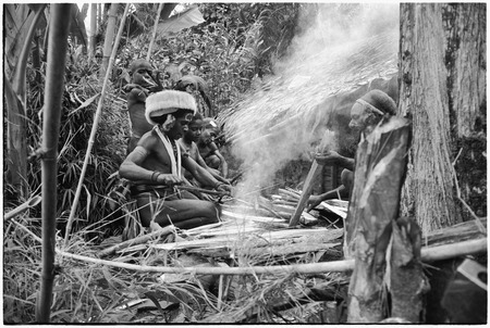 Pig festival, stake-planting, Tuguma: men build fire to cook sacrificial pig
